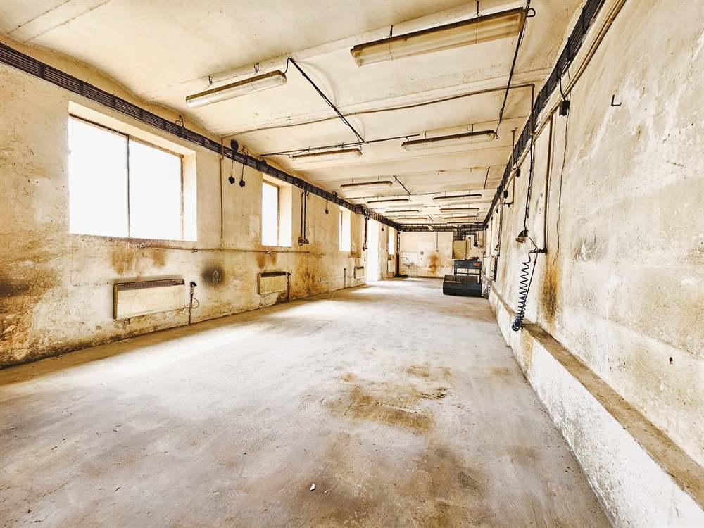 Usedlost Mladějovice před rekonstrukcí